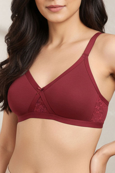 Zivame Single Layered Non Wired Full Coverage T-Shirt Bra - Sundried Tomato — image 6